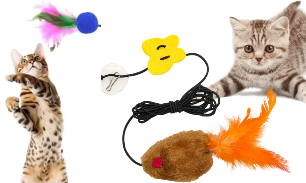 brinquedos para gatos